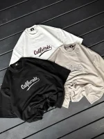 تیشرت باکسی گلدوزی CALIFORNIA - Image 4